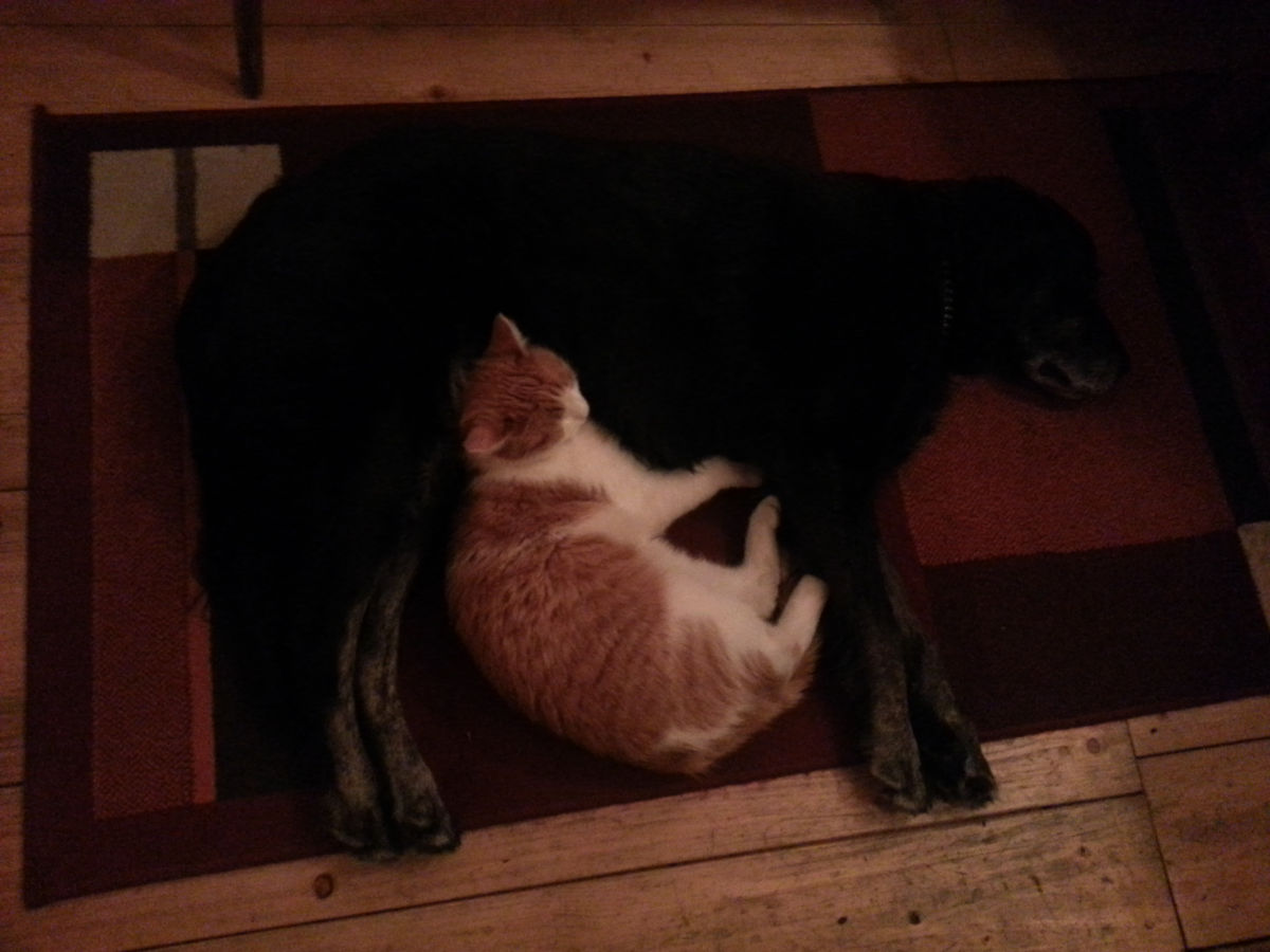 Murtal Adventures - Impressionen