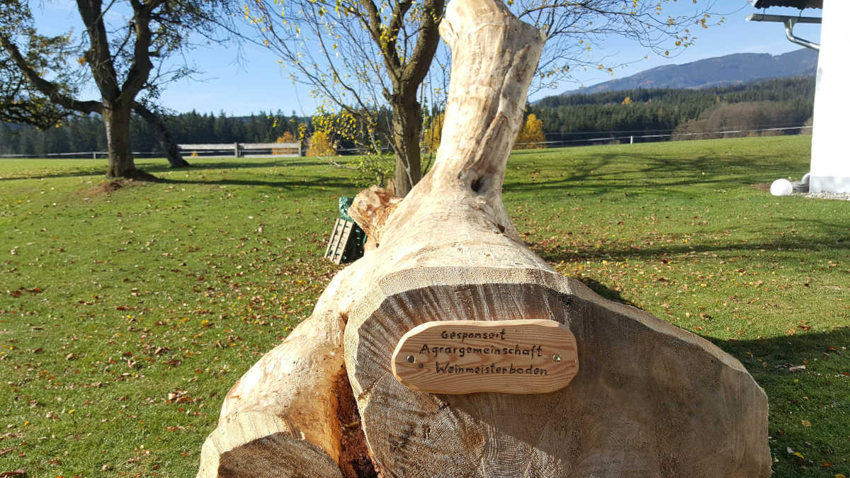 Murtal Adventures - Impressionen