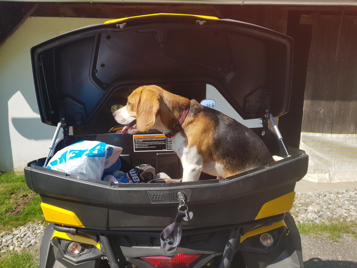 Murtal Adventures - Impressionen