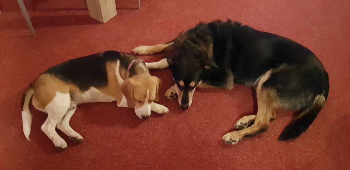 Murtal Adventures - Impressionen