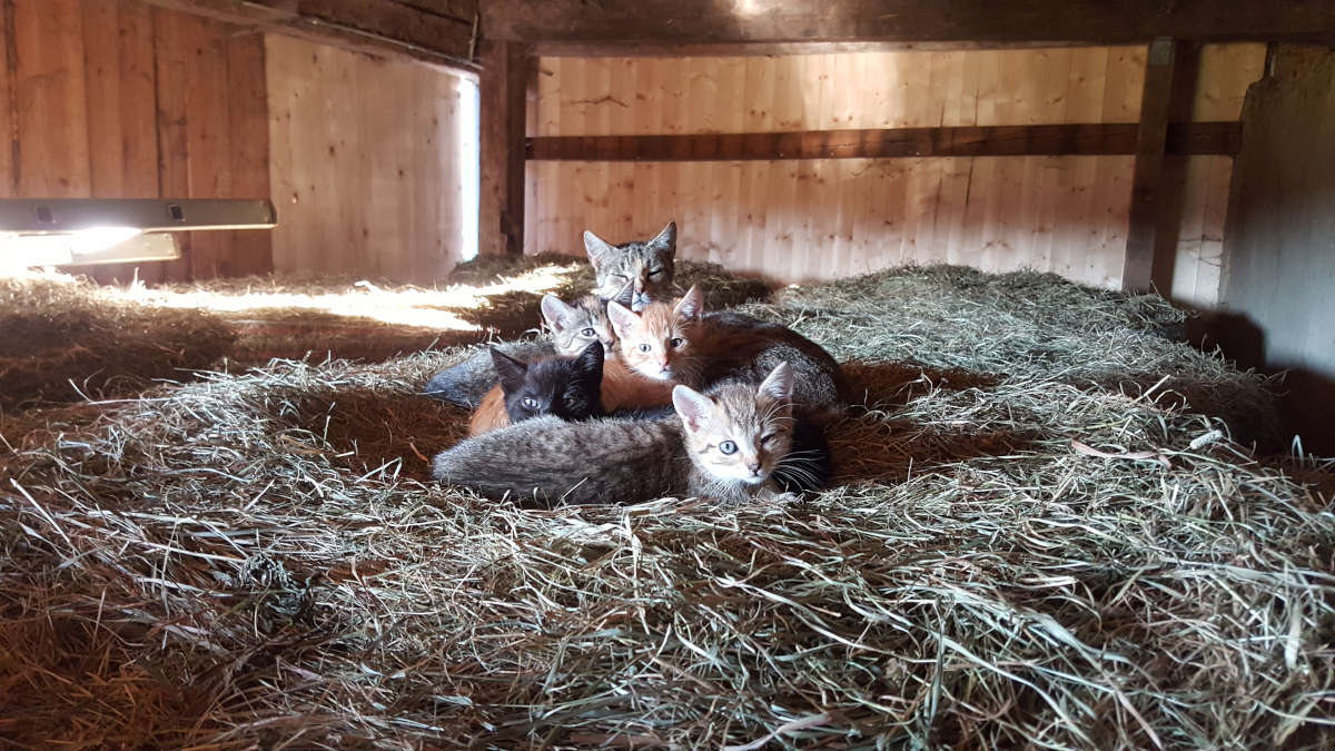 Murtal Adventures - Impressionen